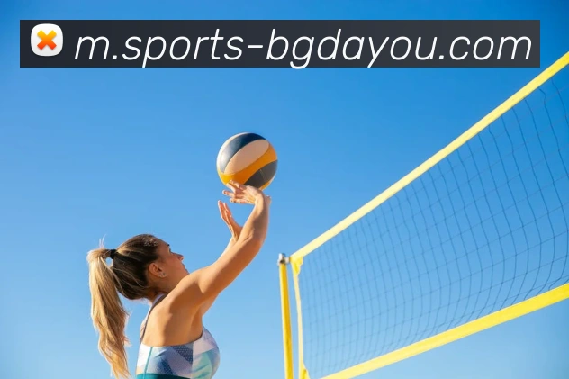 体育下注平台生态图